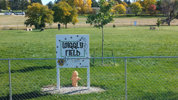 Wiggly Field Dog Park photo 2